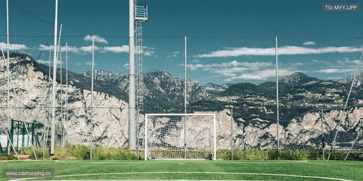 🚀⚾️ 赛事巅峰,热血沸腾!